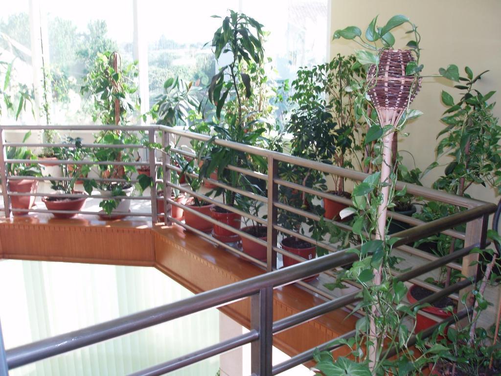 Čapljina Motel Lav מראה חיצוני תמונה